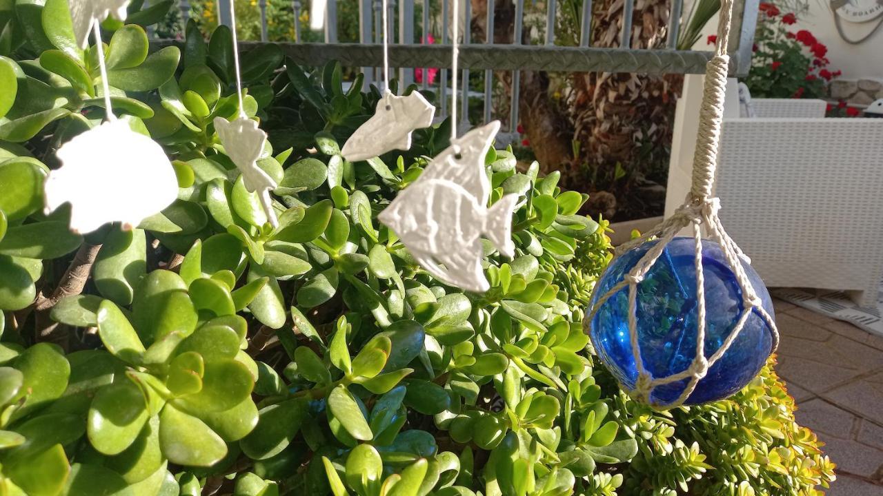 Appartamento Domus Claudio Garden - Monolocale con giardino privato Fiumicino Esterno foto