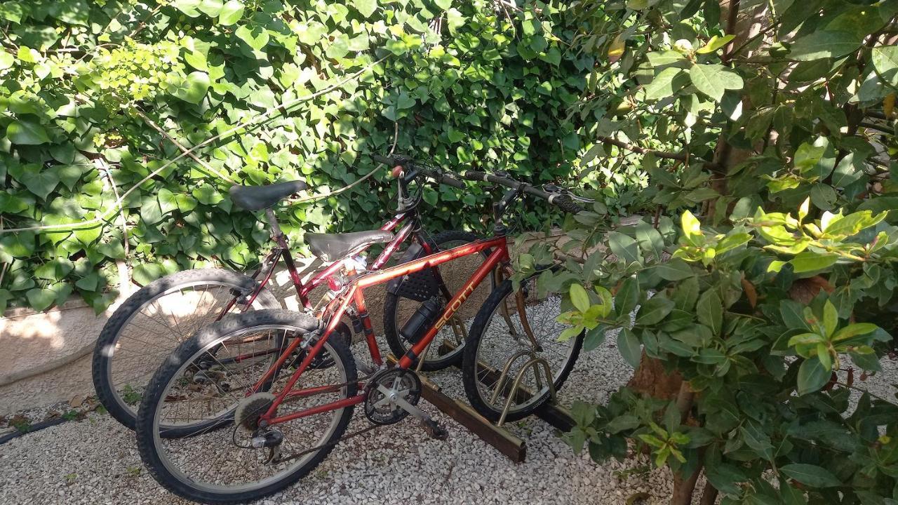 Appartamento Domus Claudio Garden - Monolocale con giardino privato Fiumicino Esterno foto